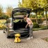 Хозяйственный пылесос Karcher WD 3 V-19/4/20