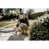 Хозяйственный пылесос Karcher WD 6 P S V-30/6/22/T